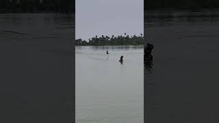 Pulicat Lake [upl. by Haidebej]