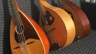 Traditional mandolin shapes compared Bowlback Domeback Flatback [upl. by Fortune]