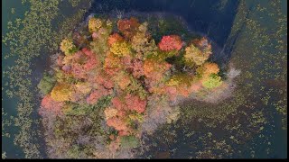 Twin Lakes Autumn  Mother Natures magnificent fall colors [upl. by Eatnom482]