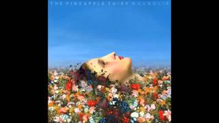 The Pineapple Thief  Steal This Life [upl. by Yliah]