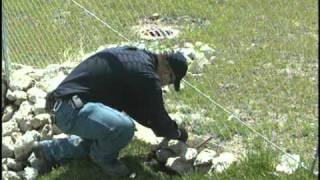 Wildlife Services work at Chicago OHare [upl. by Inhoj160]