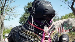 Sani Maha Pradosham Mantras – Nandikeshwara Pooja amp 108 Names of Nandi – Must Listen [upl. by Airlie]