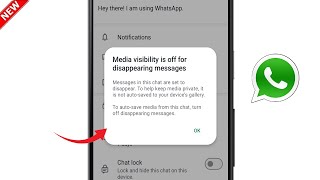 Whatsapp Media visibility is off for Disappearing messages  Whatsapp Media Not Showing in Gallery [upl. by Monaco]