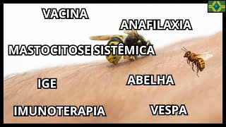 PICADA DE INSETO  VACINA VESPA IMUNOTERAPIA  IGE  ABELHA  MASTOCITOSE SISTÊMICA  ANAFILAXIA [upl. by Etnomaj]