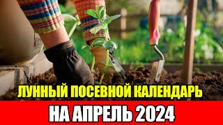 Лунный Посевной Календарь на АПРЕЛЬ 2024  Сажаем только в БЛАГОПРИЯТНЫЕ ДНИ [upl. by Nylehtak]