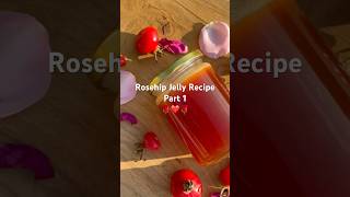 Rosehip Jelly recipe P1🌹🥀 foraging forager rosehip roses rose recipes health healthy [upl. by Beckett]