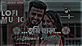 তুমি ছাড়া lofi music  SlowedReverb  Tumi chara romantic songs lofi  2023 New Bangla Song [upl. by Ynnus]