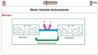 Antioxidants Classification and Types [upl. by Ahseinek]