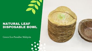 Natural Leaf Disposable Bowl  Thonnai [upl. by Ahsieym]