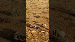 Ultimate Africa Adventure  Safari Victoria Falls Masai Mara Avenue of the Baobabs  more travel [upl. by Brantley609]