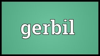 Gerbil Meaning [upl. by Assenev]