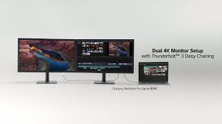 LG UltraFine™  Official Introduction  4K IPS Monitor with macOS Compatibility  LG [upl. by Llemor]