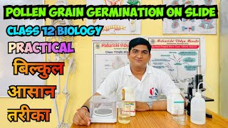 Pollen Grain Germination Slide Preparation Experiment Class 12th Biology With Hindi Explanation [upl. by Concepcion]