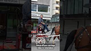 Horse drawn carriage in Interlaken [upl. by Ecnarret]