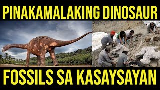 PINAKAMALAKING DINOSAUR FOSSILS SA KASAYSAYAN NAHUKAY [upl. by Wasson]