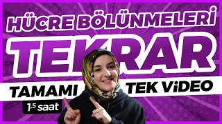 4 Hücre Bölünmeleri FULL TEKRAR  10 Sınıf Biyoloji  TYT Biyoloji Konu Anlatımı 4 [upl. by Elton]