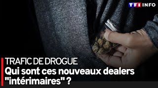 Trafic de drogue  qui sont ces nouveaux dealers quotintérimairesquot [upl. by Eadas546]