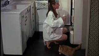 Documentary on Breakfast At Tiffanys movie [upl. by Kaete440]