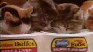 Friskies Buffet Commercial [upl. by Chryste46]