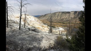 Monthly update of activity at Yellowstone Volcano for August 1 2022 from Mammoth Hot Springs [upl. by Ysnil640]