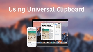 Using Universal Clipboard [upl. by Boaten406]