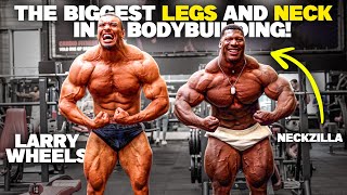 The Biggest LEGS and NECK in Bodybuilding with Rubiel aka NECKZILLA [upl. by Atteval]