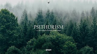 SA3A  Psithurism Audio [upl. by Airym]