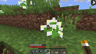 How to get Azure Bluet  Minecraft [upl. by Yhtrod]