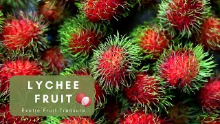 Lychee An Exotic Fruit Treasure with Rich Origins [upl. by Alf365]