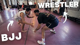 BJJ vs High Level Wrestler WHO WINS [upl. by Aihsetel]