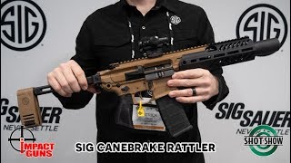 Sig Sauer MCX Rattler Canebrake 300 AAC Blackout  SHOT Show 2019 [upl. by Vince193]