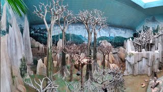 LIVE STREAM Tropic World  Brookfield Zoo [upl. by Jeromy]