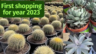 Shopping for Cactus and Succulents During Winter [upl. by Ashely]