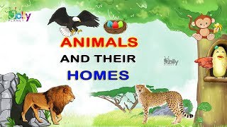 Animals and Their Home Names For Kids In English  Animal Homes  Homes of Animals and Birds [upl. by Nifled]