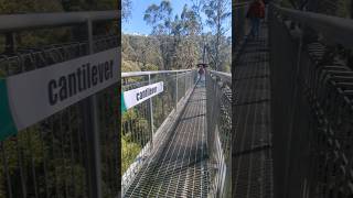 The Cantilever  Otway Fly Treetop Adventures in Australia [upl. by Nylanej]