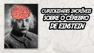 Curiosidades Incríveis sobre o Cérebro de Einstein [upl. by Nonnad]