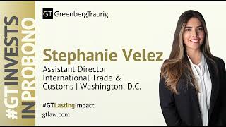 2024 Voices of Pro Bono Stephanie Velez [upl. by Rodrique]