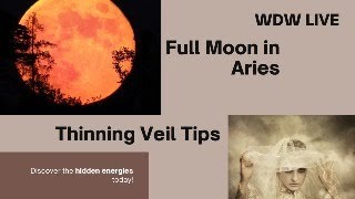 WDW  Full Moon in Aries and Thinning Veil Vibes [upl. by Akcinehs953]