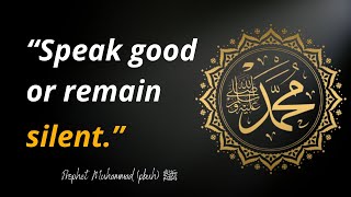 35 Inspirational Prophet Muhammad pbuh Quotes  Which are better to known for youre life quotes [upl. by Groh709]