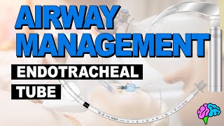 Anatomy of the Endotracheal Tube ET Tube  Airway Management [upl. by Acie]