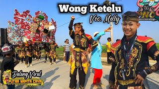 Dalang Viral ❗ WONG KETELU VOC MELLY  PUTRA NAFITA CAYA PNC  LUDOYONG  TRISI [upl. by Nuhs]