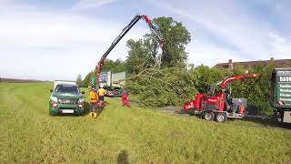 Nix ist unmöglichRiesen Esche in 3hBaumfällung extremBäume sind unser GeschäftFÄLLKRANLKW [upl. by Rosalyn64]