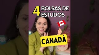 Como fazer intercâmbio gratuito no Canadá 4 bolsas de estudos [upl. by Ecille955]