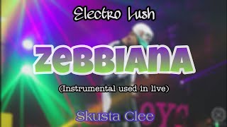 Skusta Clee Zebbiana Instrumental used in live By Electro Lush [upl. by Firehs]