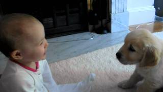 Baby and Puppy meet for the first time [upl. by Mario]