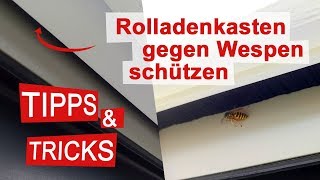 Rolladenkasten gegen Wespen schützen und abdichten [upl. by Anahsor631]