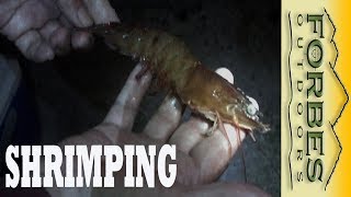 Monster Shrimp the Banana River Reds [upl. by Ungley]