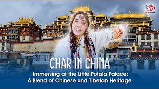 Char in China  Immersing at the Little Potala Palace A Blend of Chinese and Tibetan Heritage [upl. by Easton]