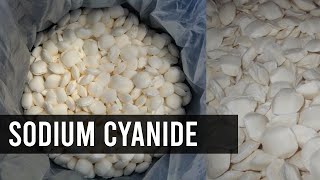 How to Buy Sodium Cyanide  Camachem [upl. by Perot]