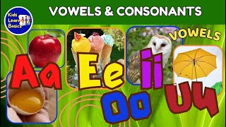 Consonants and Vowels  The Vowels  The Alphabet ABC  kidslearnbasics [upl. by Hamon]